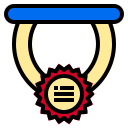 external medal-business-phatplus-lineal-color-phatplus icon