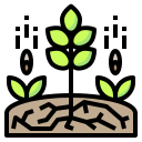 external seed-agriculture-intelligence-phatplus-lineal-color-phatplus icon