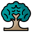 external tree-ecology-phatplus-lineal-color-phatplus icon
