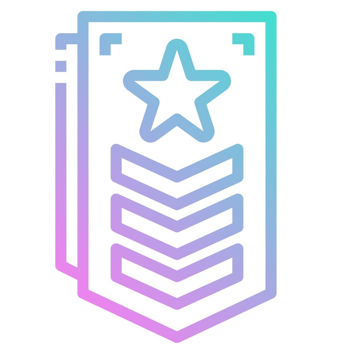 chevron icon