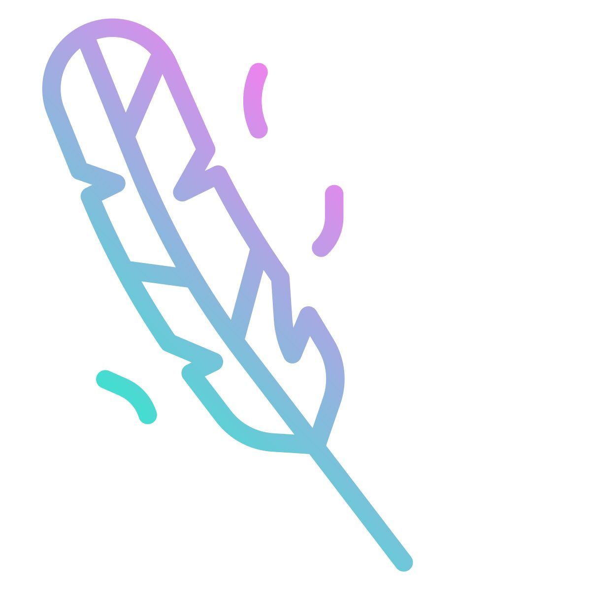 feather icon