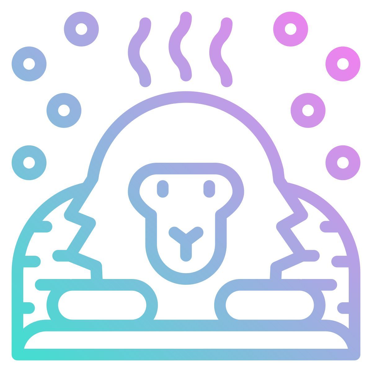 monkey icon