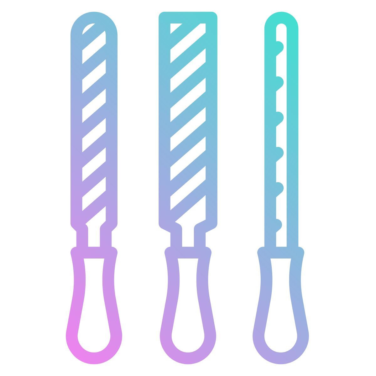 rasp icon