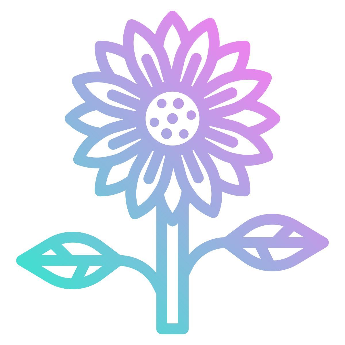 sunflower icon