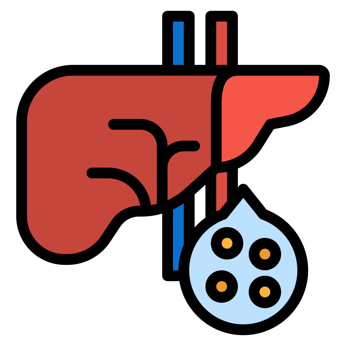 liver icon