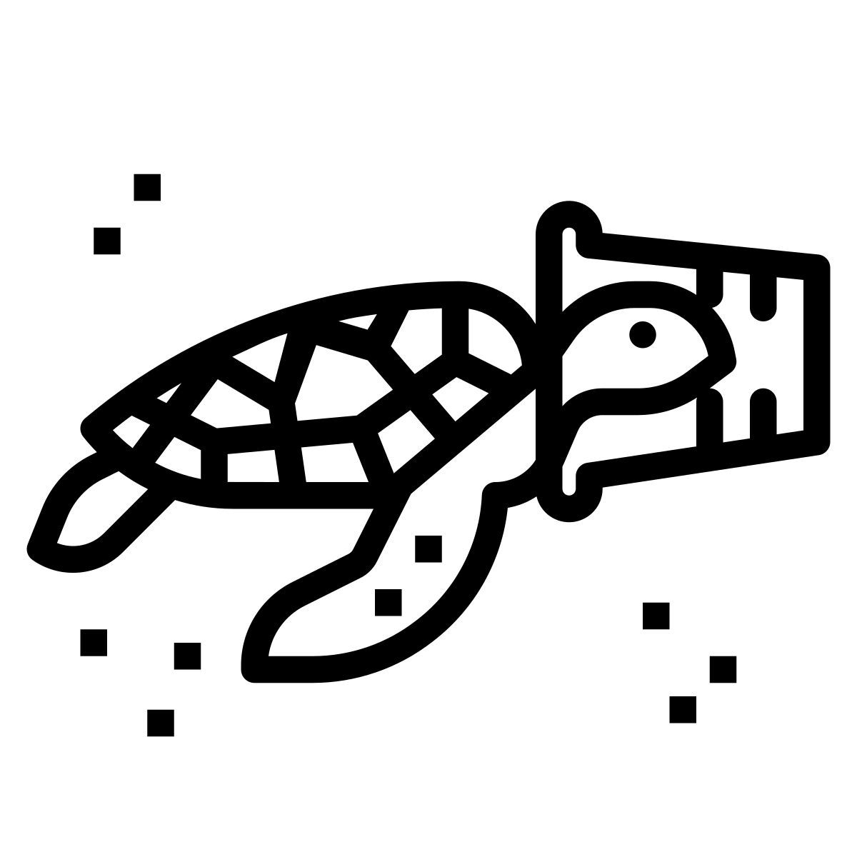 turtle icon