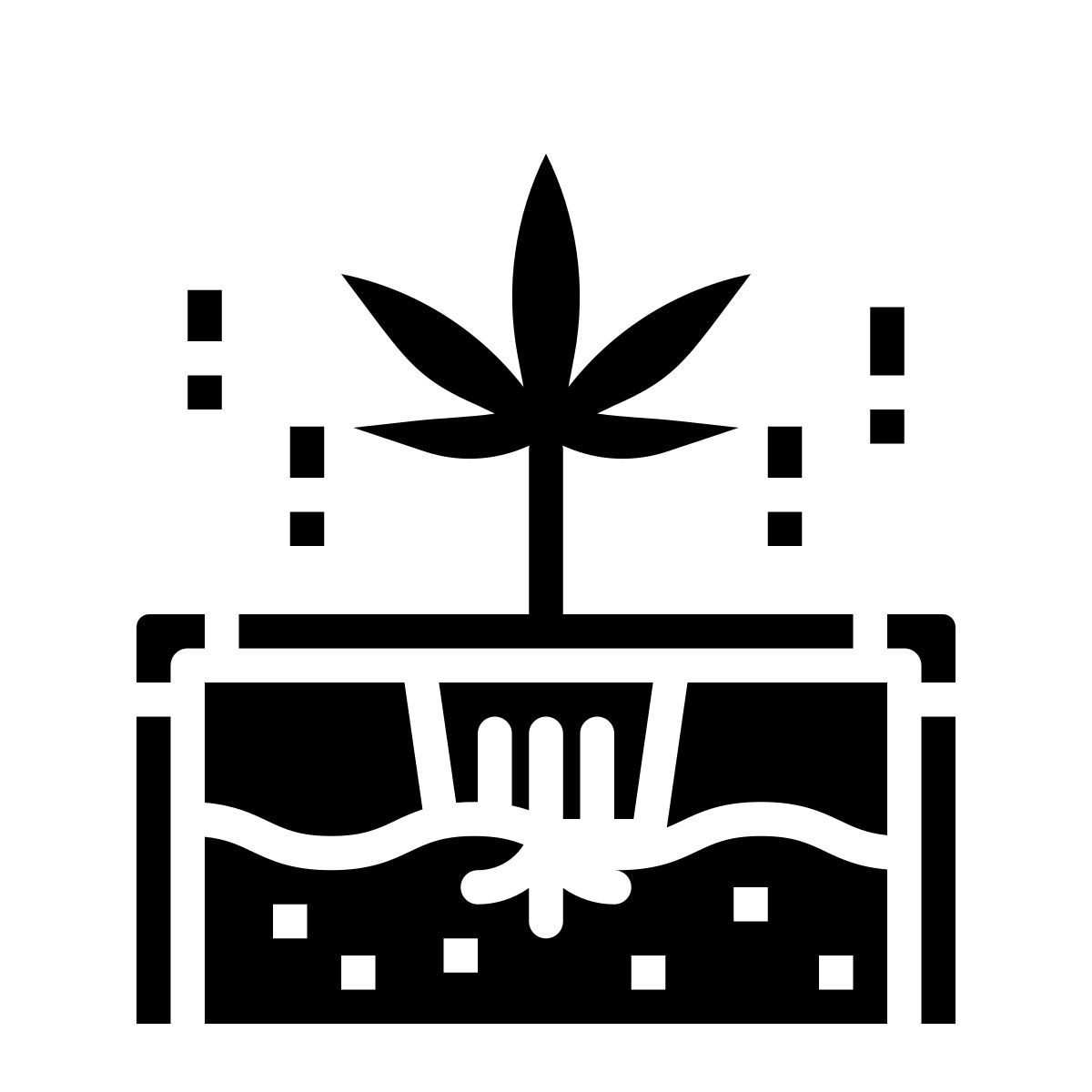 hydroponic icon