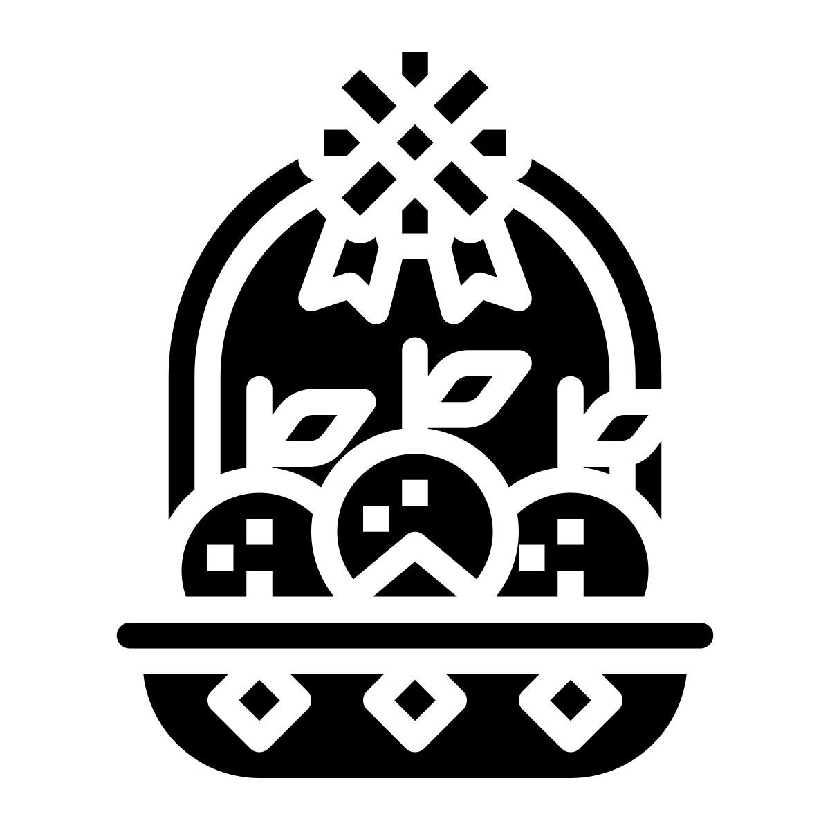 oranges icon