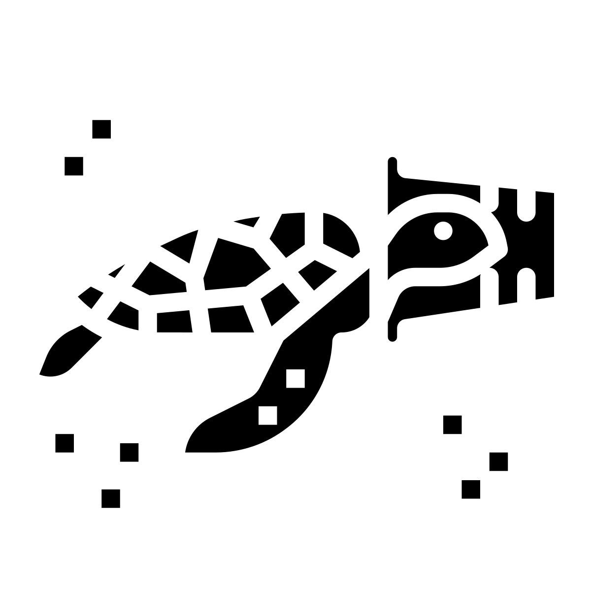 turtle icon