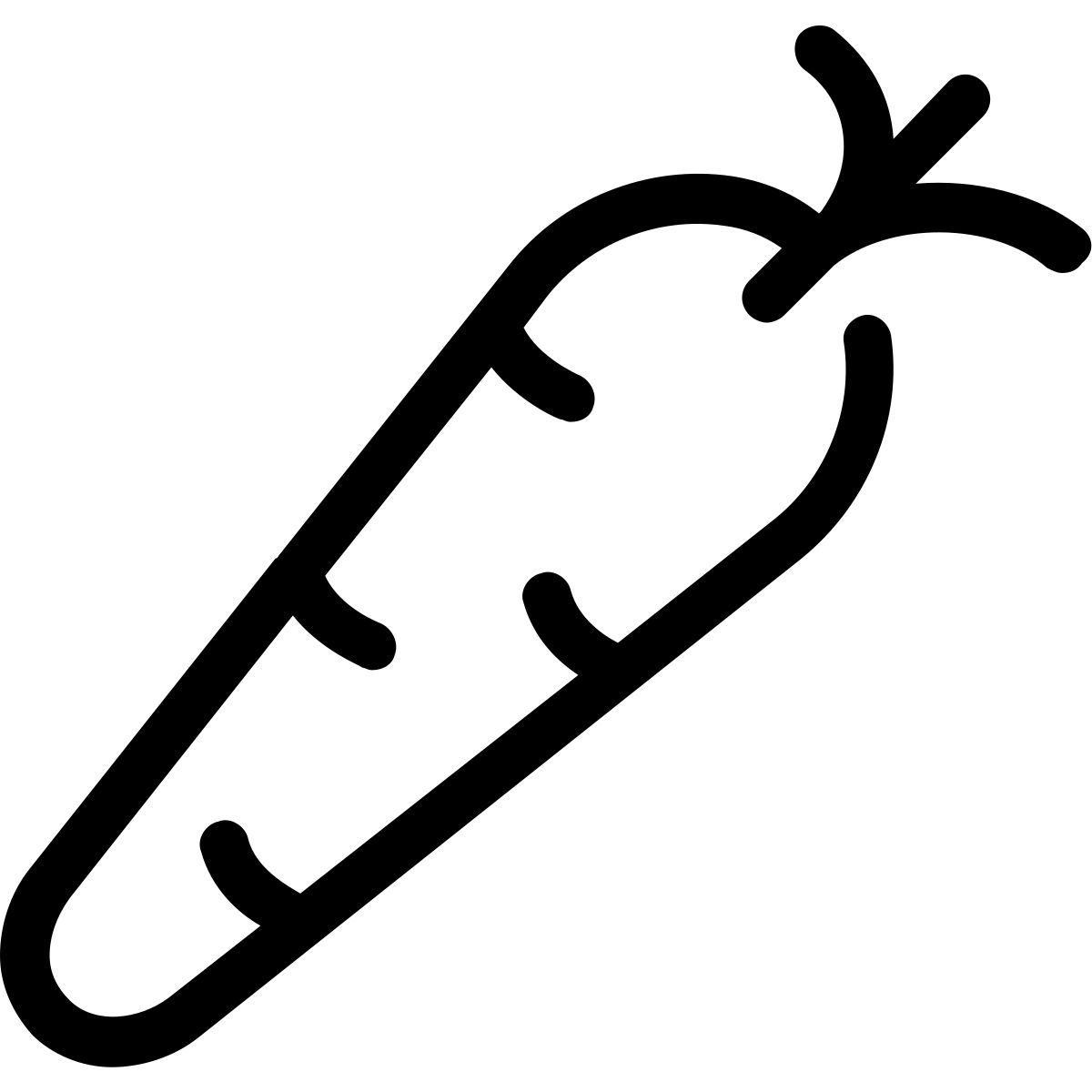 carrot icon