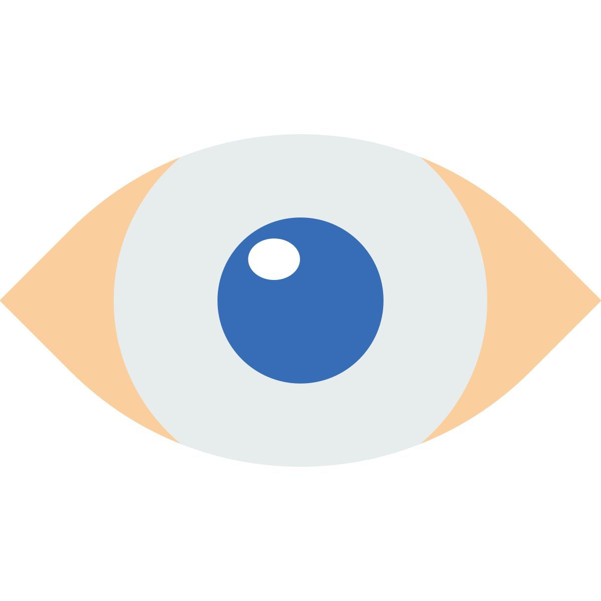 visualizza file icon