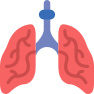 external lungs-medical-prettycons-flat-prettycons icon