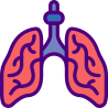 external lungs-medical-prettycons-lineal-color-prettycons icon