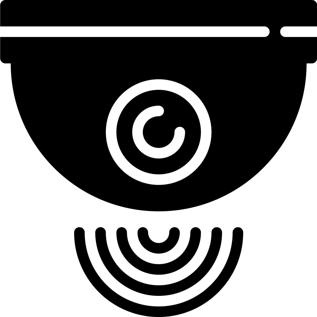 cctv icon