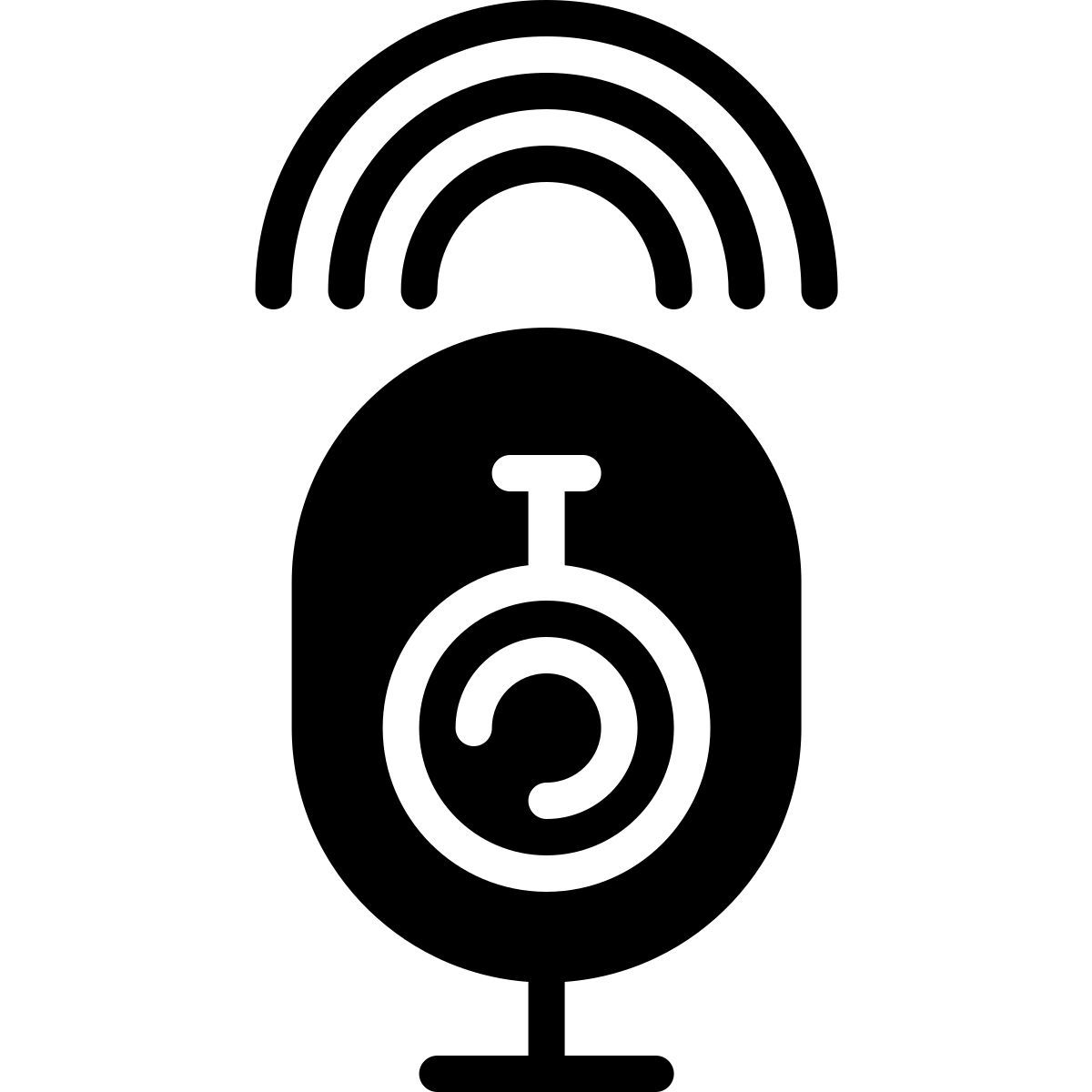webcam icon
