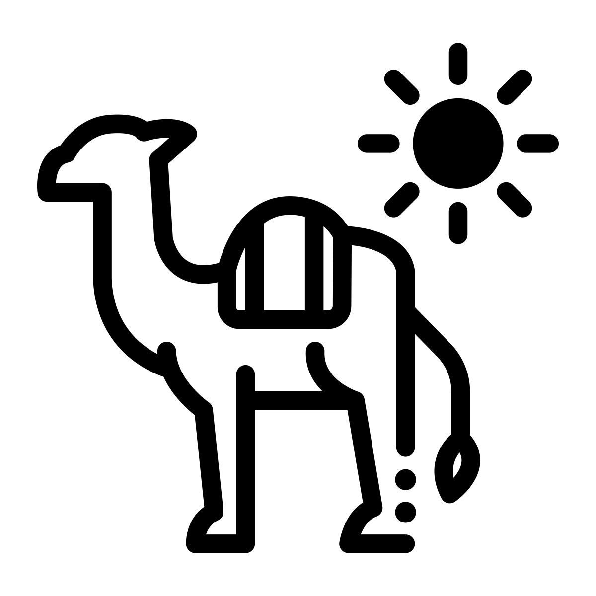 cammello icon