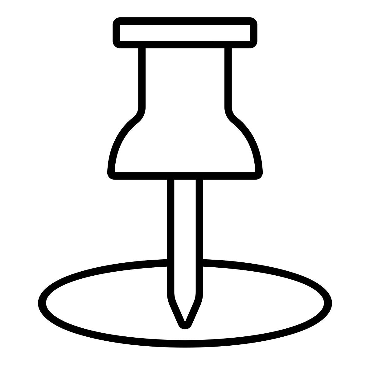 pin icon