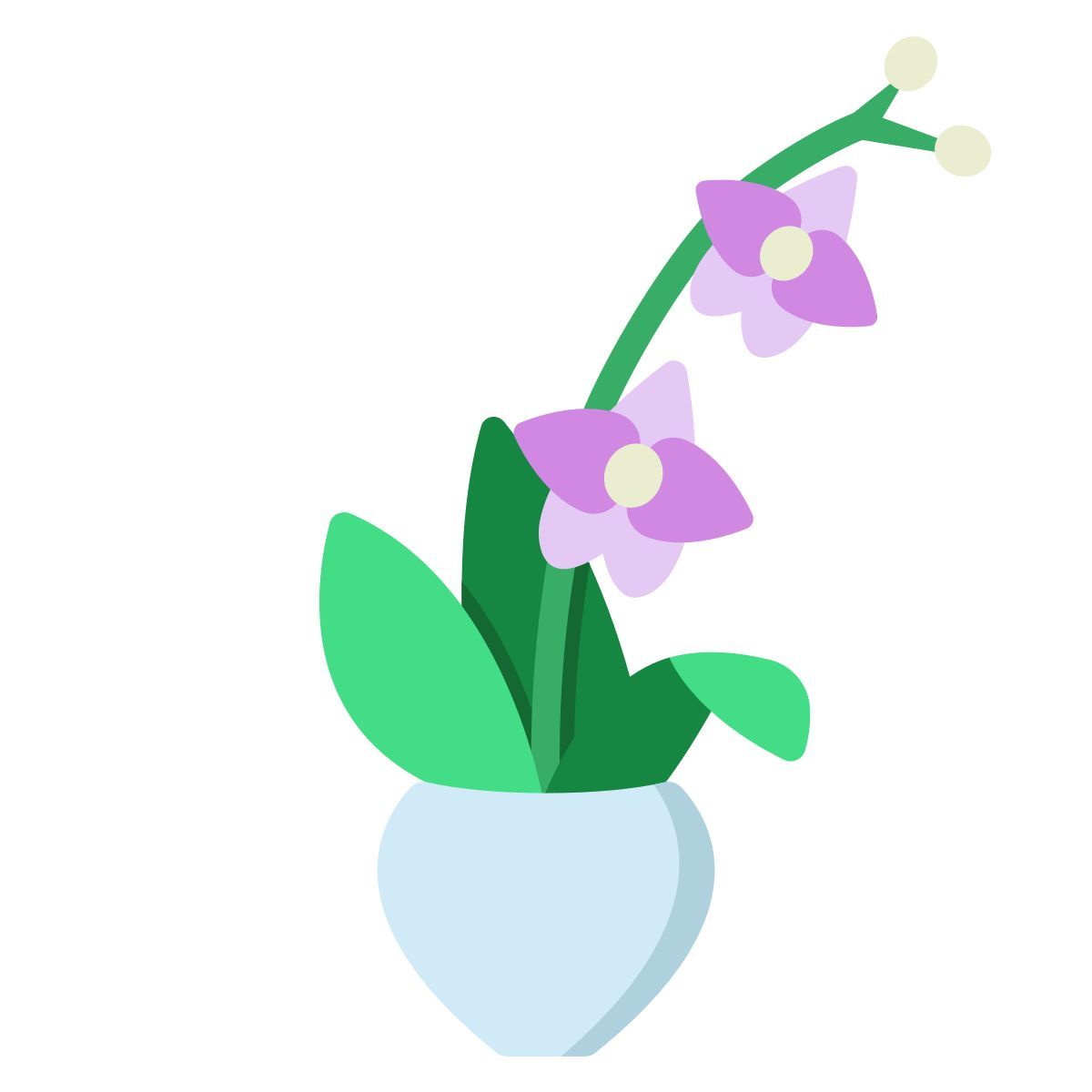 orchidea icon