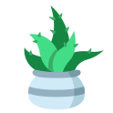 external aloe-vera-indoor-plant-rabit-jes-flat-rabit-jes icon
