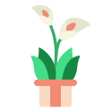 external calla-lily-indoor-plant-rabit-jes-flat-rabit-jes icon