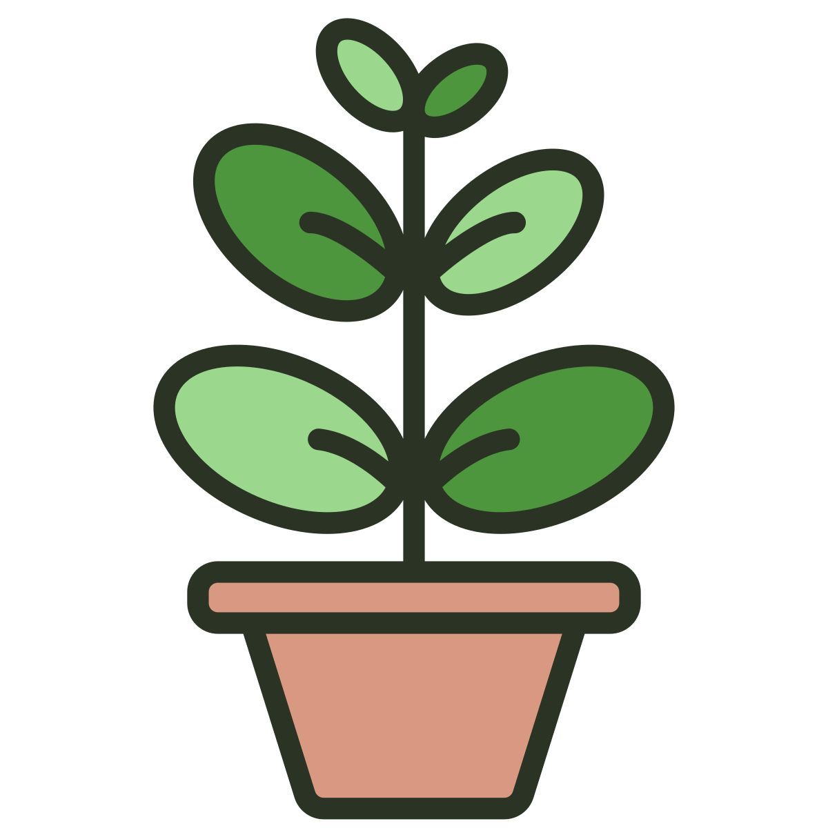 ficus icon