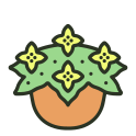 external begonia-indoor-plant-rabit-jes-outline-color-rabit-jes icon
