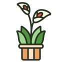 external calla-lily-indoor-plant-rabit-jes-outline-color-rabit-jes icon