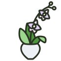 external orchid-indoor-plant-rabit-jes-outline-color-rabit-jes icon