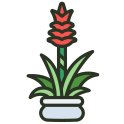 external pot-indoor-plant-rabit-jes-outline-color-rabit-jes icon