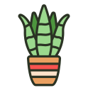 external sansevieria-indoor-plant-rabit-jes-outline-color-rabit-jes icon