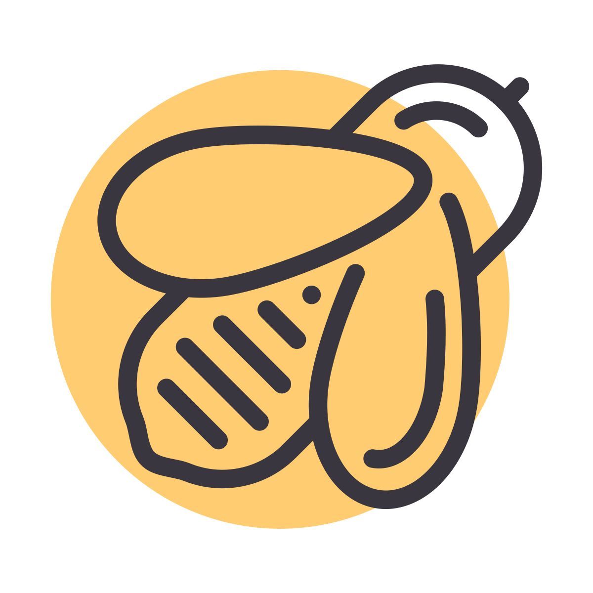 bienenhaus icon