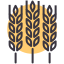 external agriculture-autumn-random-chroma-amoghdesign icon