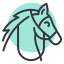 external animal-horse-riding-random-chroma-amoghdesign icon