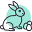 external bunny-spring-random-chroma-amoghdesign icon