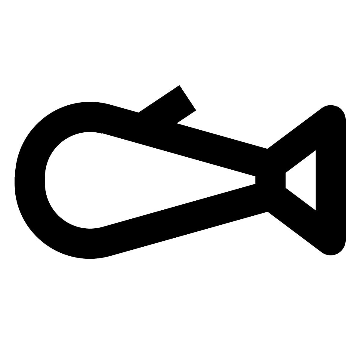 fish icon