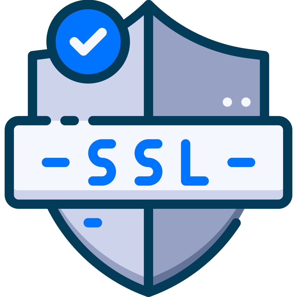 ssl icon