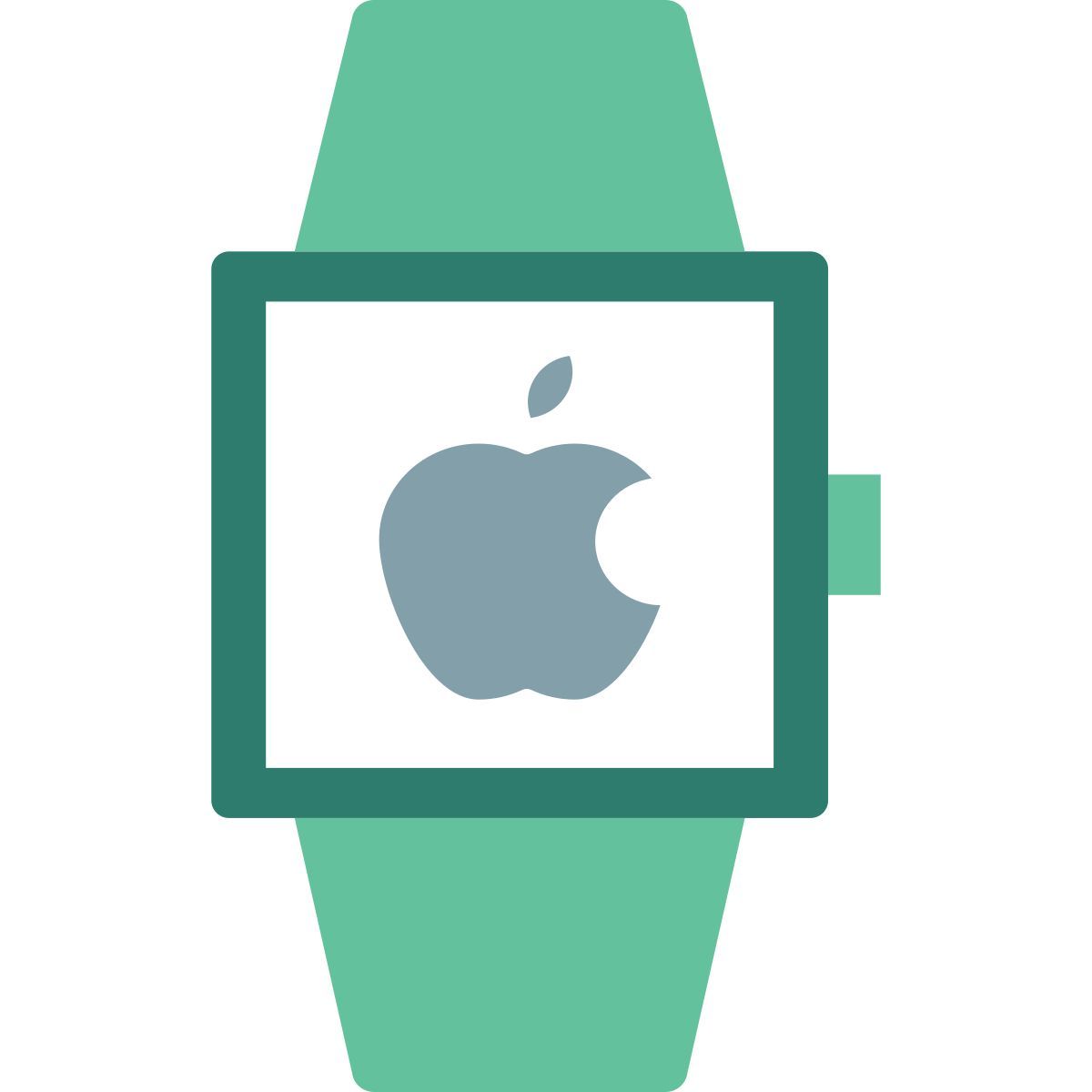 apple watch icon