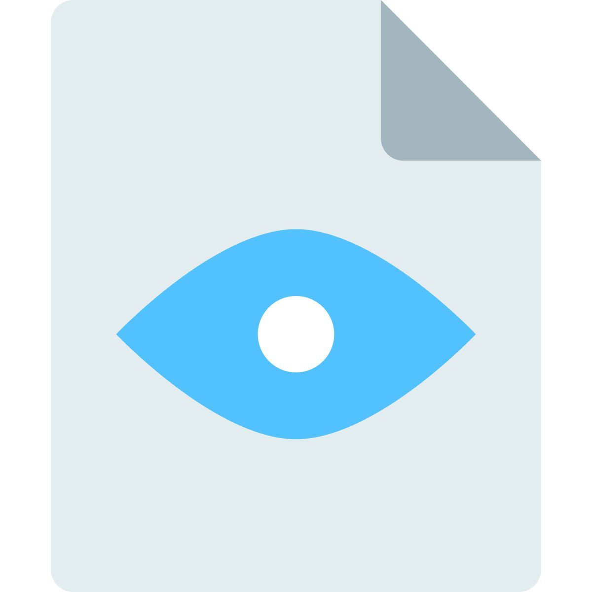 preview icon