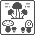 external mushrooms-cooking-sbts2018-lineal-color-sbts2018 icon