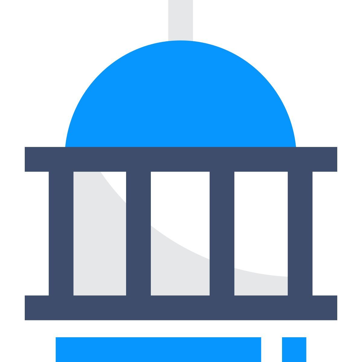government icon