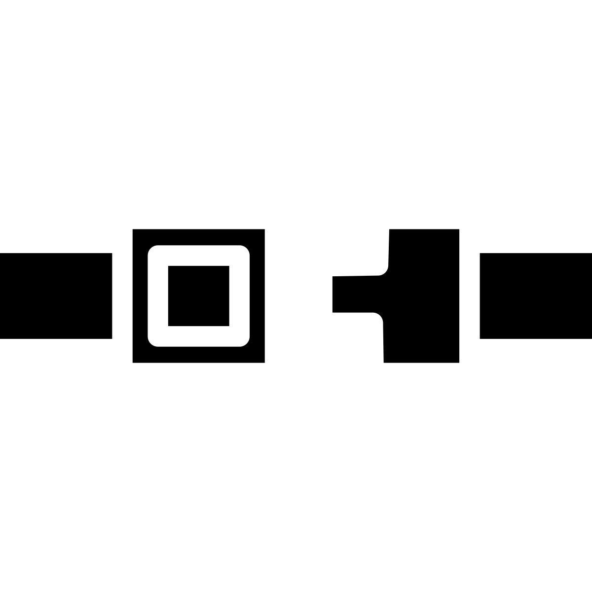29 seatbelt icon
