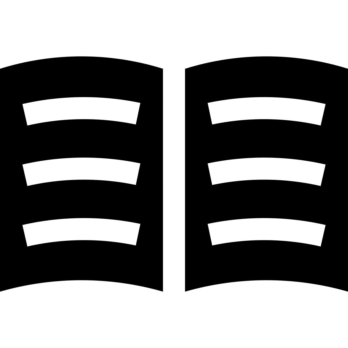 magazine icon