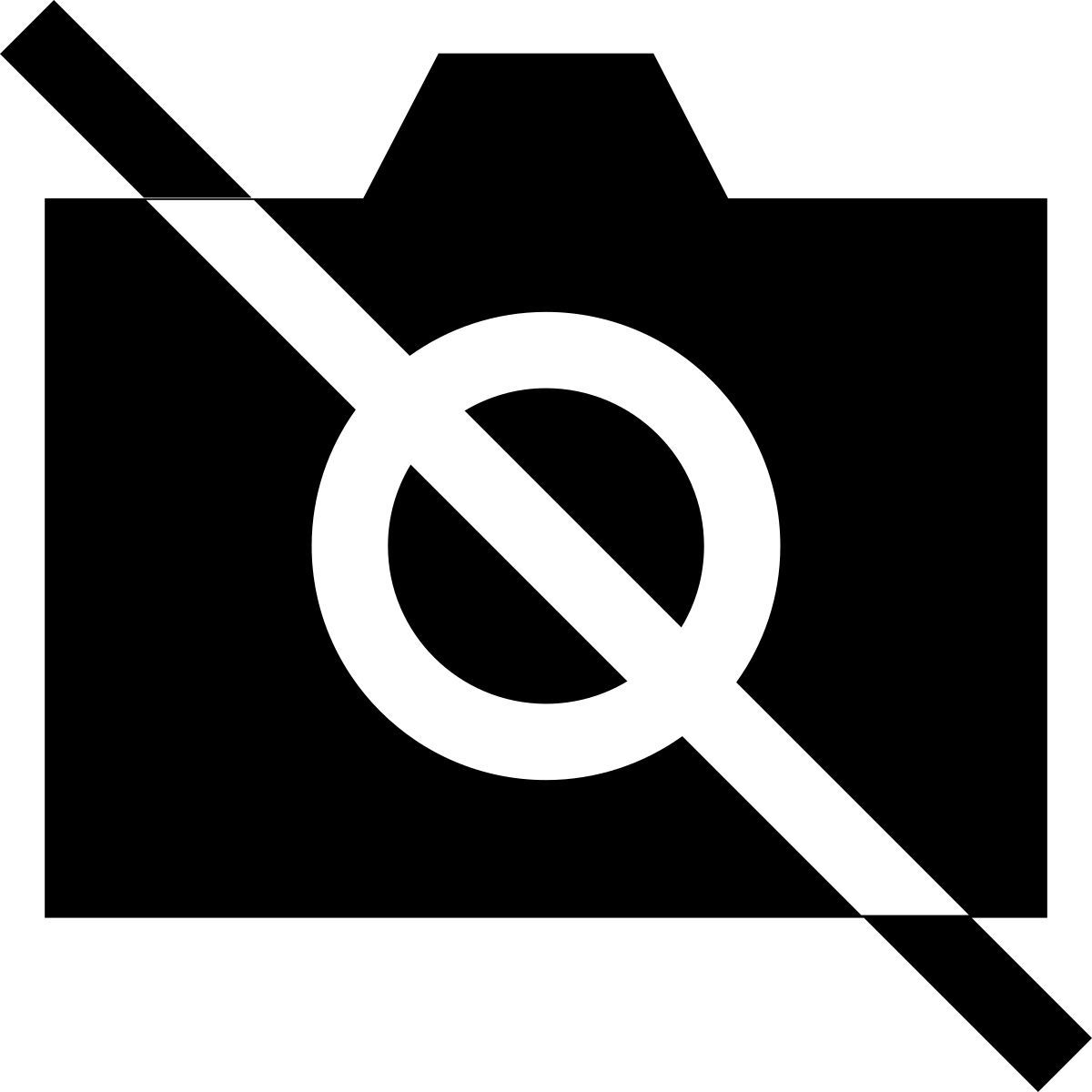 no image icon