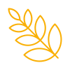 external-Branch-nature-simple-line-edt.graphics