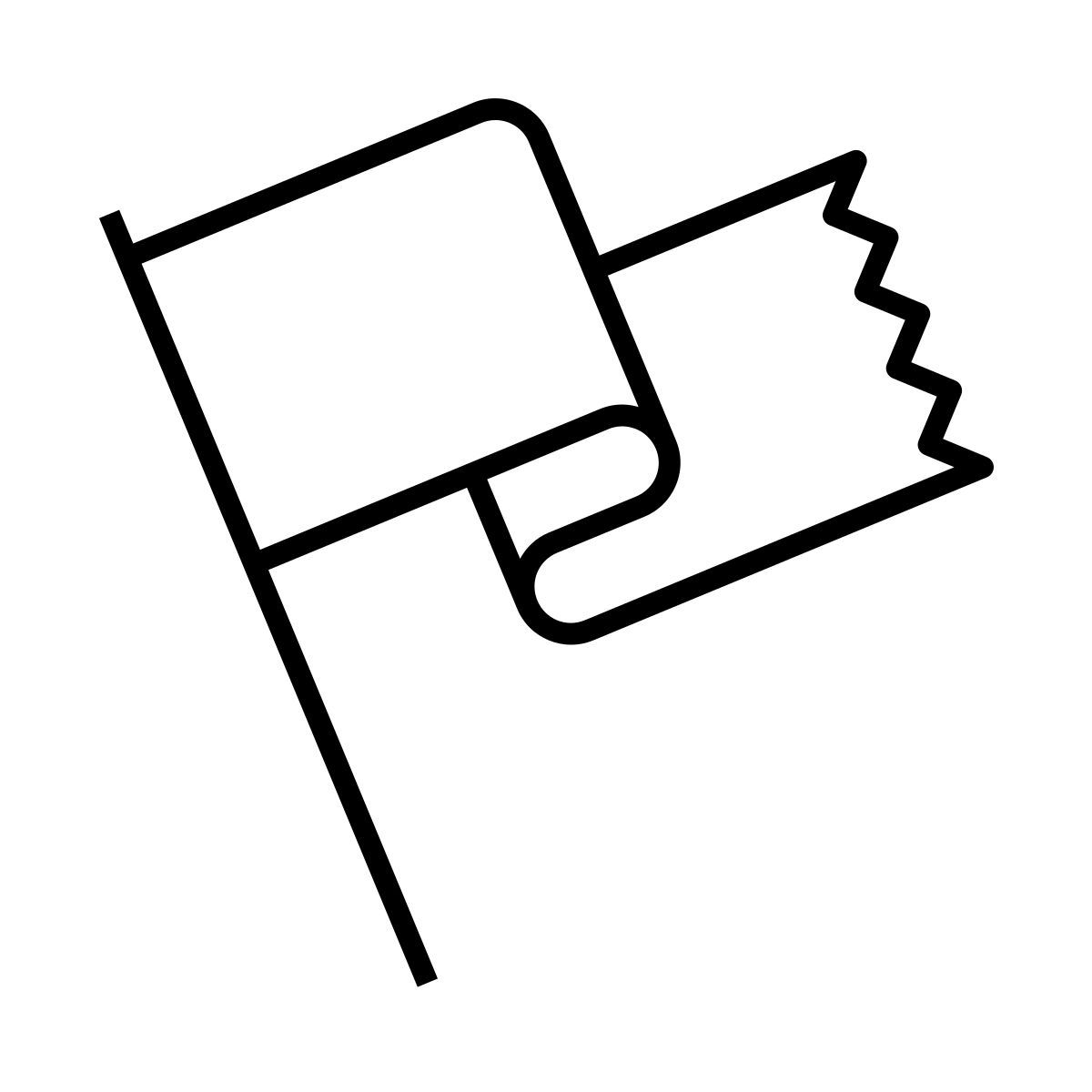 flag icon