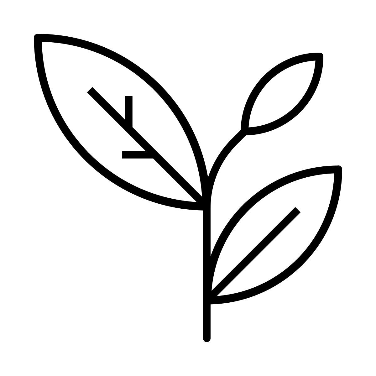 阳光下的植物 icon