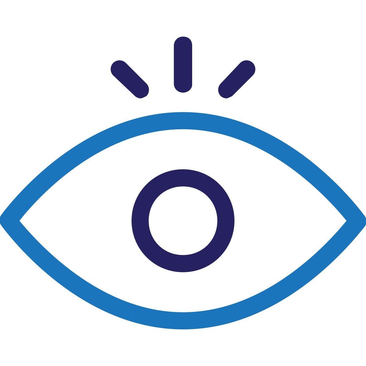 eye icon