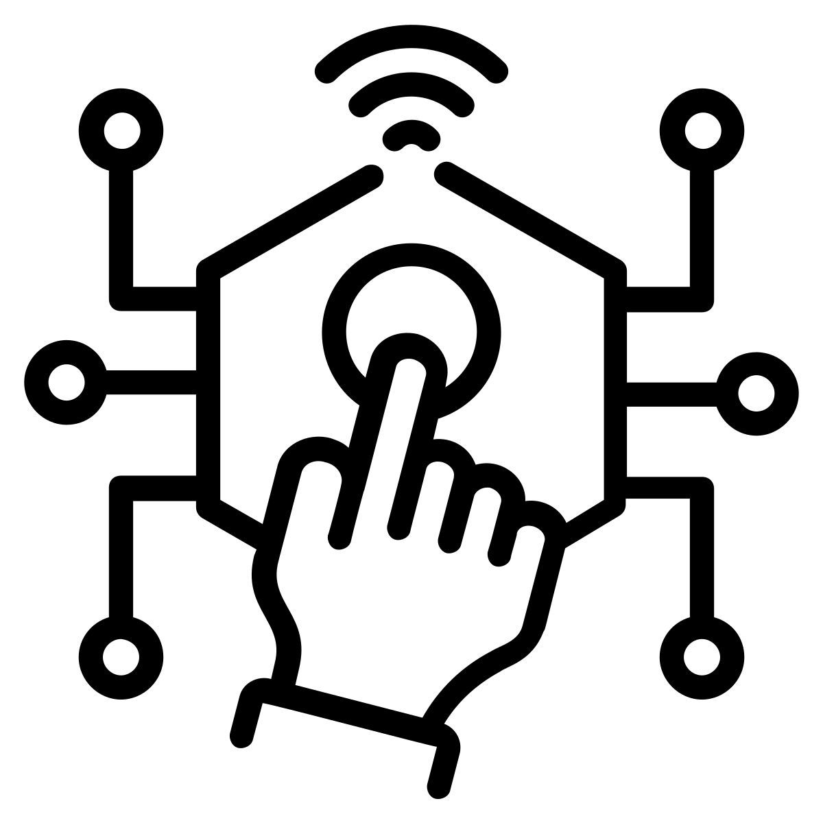 ¿tienes un microchip? icon