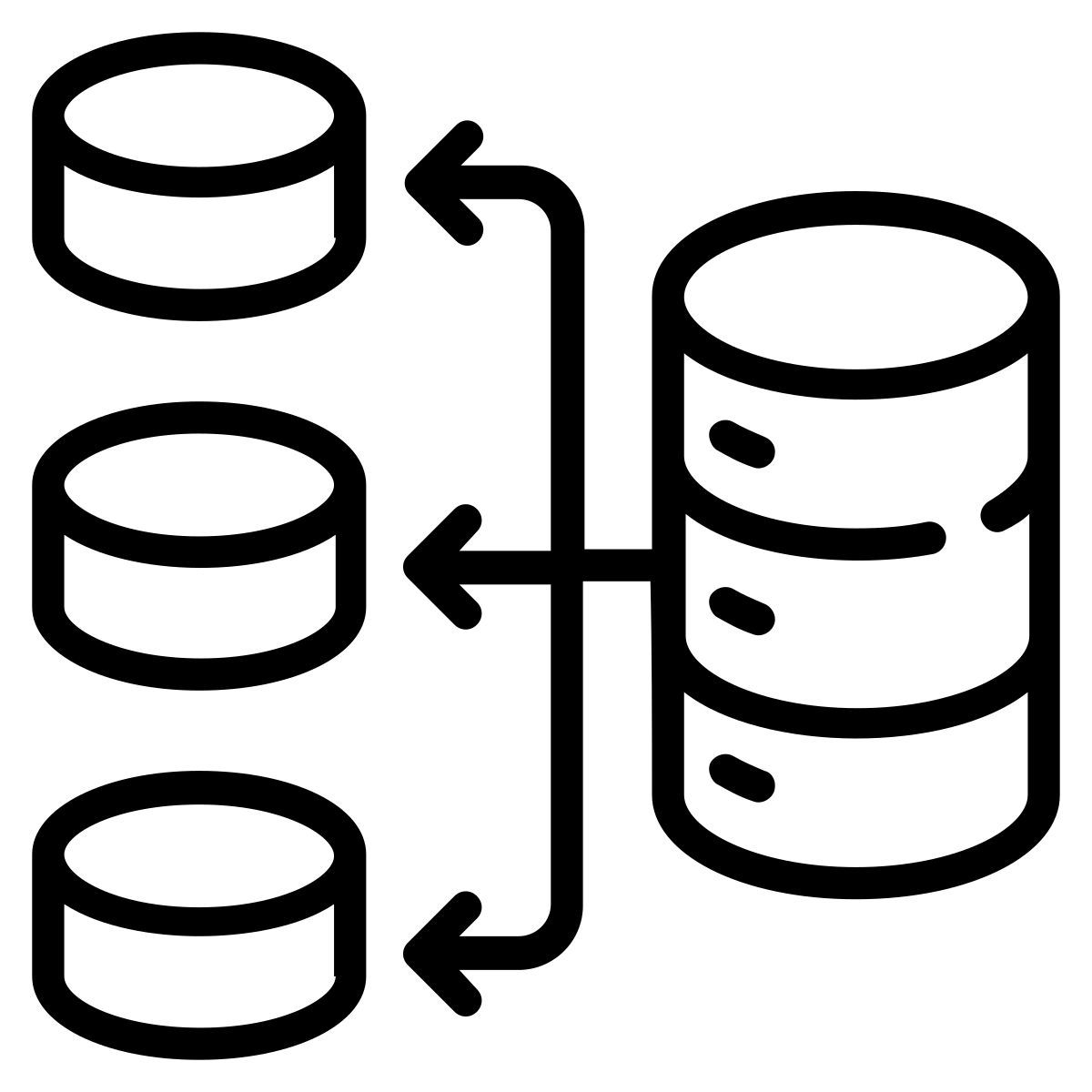 réseau de bases de données icon