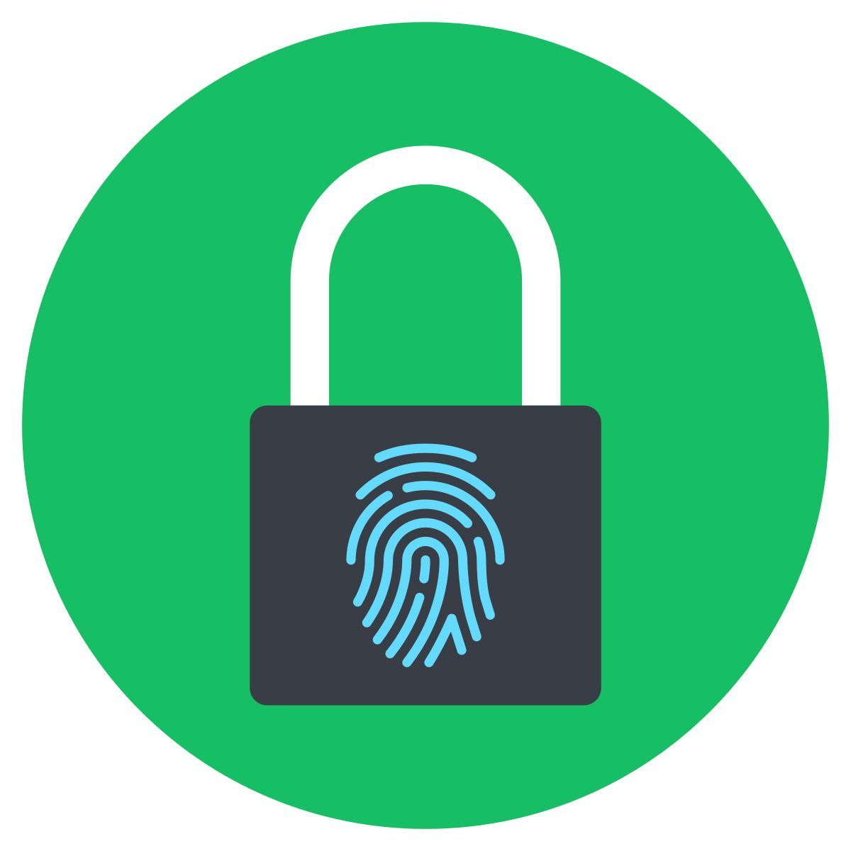 lock icon
